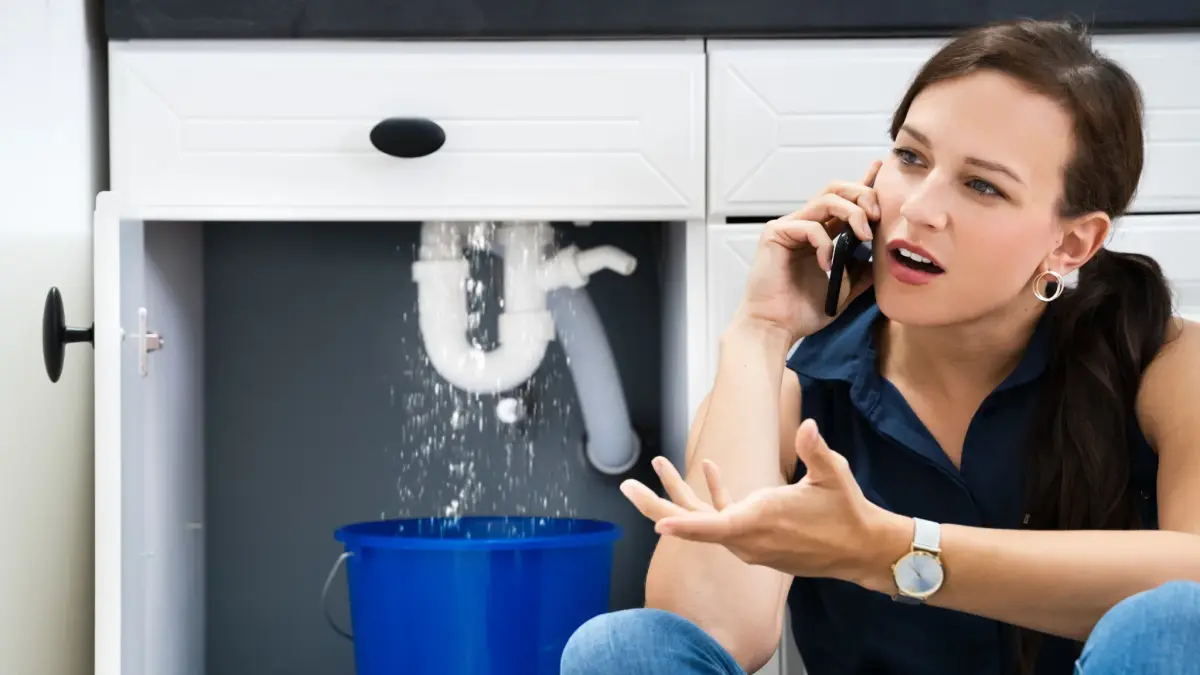 Emergency Plumbing Repair in Terrell, TX